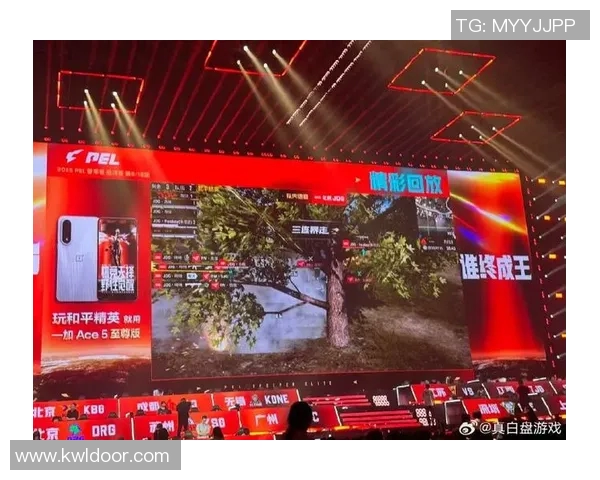 和平精英战术JDG的控制体系解析与实战应用探讨实时新闻 和平精英战术JDG的控制体系解析与实战应用探讨实时新闻