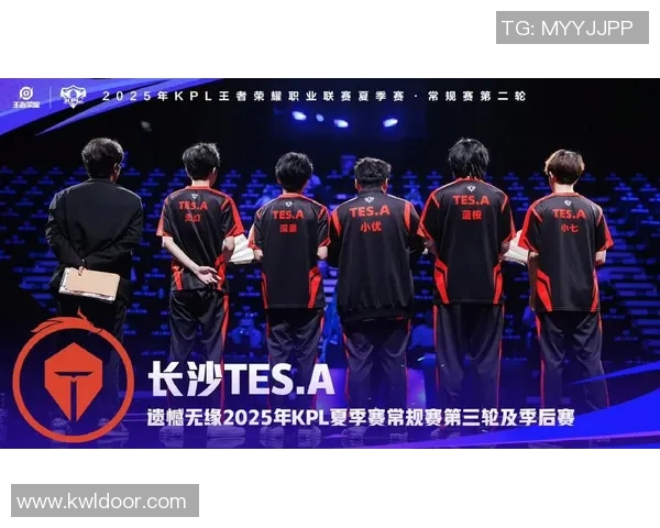 电竞实时数据揭秘TES战队耐力之谜与王者荣耀的深度结合实时新闻 电竞实时数据揭秘TES战队耐力之谜与王者荣耀的深度结合实时新闻